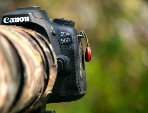 Canon 90D